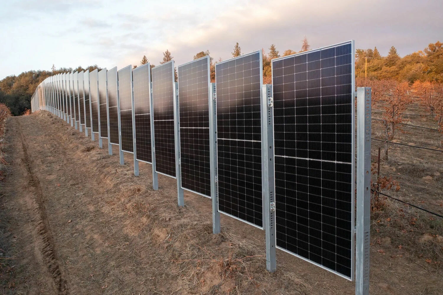 dubbelzijdige zonnepanelen